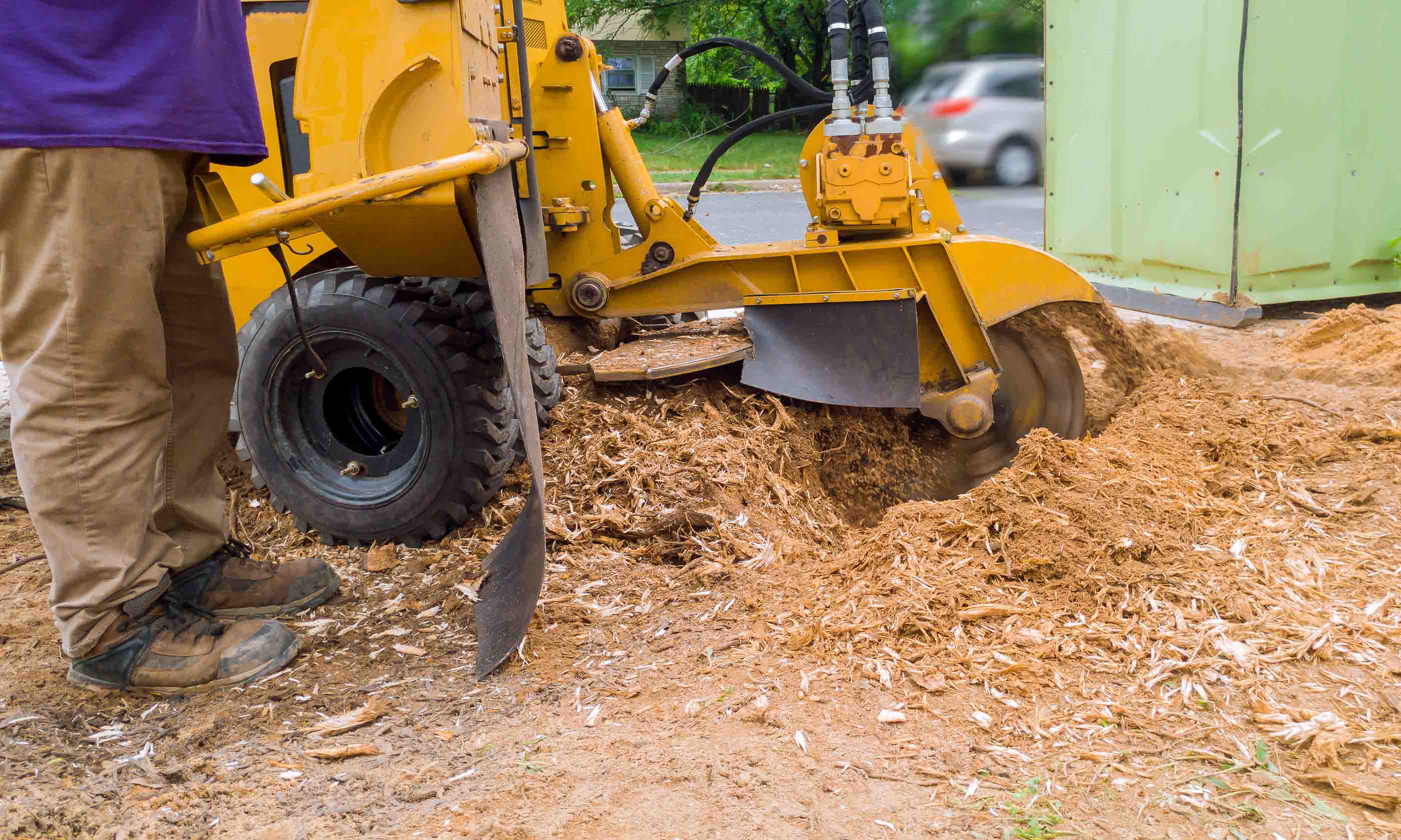 Stump Grinding-Palm Beach Island Tree Trimming and Tree Removal Services-We Offer Tree Trimming Services, Tree Removal, Tree Pruning, Tree Cutting, Residential and Commercial Tree Trimming Services, Storm Damage, Emergency Tree Removal, Land Clearing, Tree Companies, Tree Care Service, Stump Grinding, and we're the Best Tree Trimming Company Near You Guaranteed!