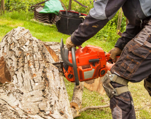 Stump Grinding & Removal-Palm Beach Island Tree Trimming and Tree Removal Services-We Offer Tree Trimming Services, Tree Removal, Tree Pruning, Tree Cutting, Residential and Commercial Tree Trimming Services, Storm Damage, Emergency Tree Removal, Land Clearing, Tree Companies, Tree Care Service, Stump Grinding, and we're the Best Tree Trimming Company Near You Guaranteed!