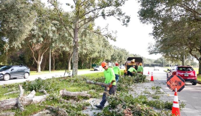Commercial Tree Services Affordable-Pro Tree Trimming & Removal Team of Palm Beach Island