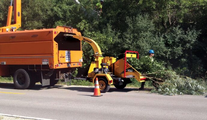 Commercial Tree Services Near Me-Pro Tree Trimming & Removal Team of Palm Beach Island