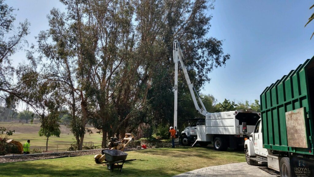 Commercial Tree Services Palm Beach Island-Pro Tree Trimming & Removal Team of Palm Beach Island