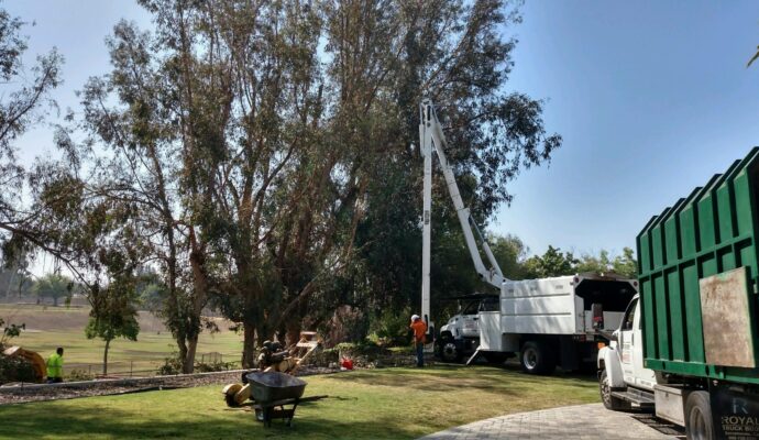 Commercial Tree Services Palm Beach Island-Pro Tree Trimming & Removal Team of Palm Beach Island