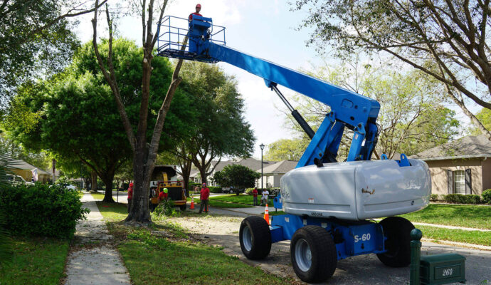 Palm Beach Island Residential Tree Services-Pro Tree Trimming & Removal Team of Palm Beach Island