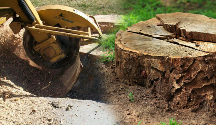 Stump Grinding & Removal Affordable-Pro Tree Trimming & Removal Team of Palm Beach Island