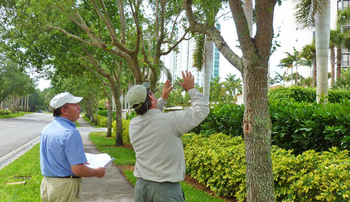 Arborist Consultations-Pros-Pro Tree Trimming & Removal Team of Palm Beach Island