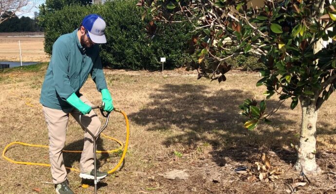 Deep Root Injection Experts-Pro Tree Trimming & Removal Team of Palm Beach Island
