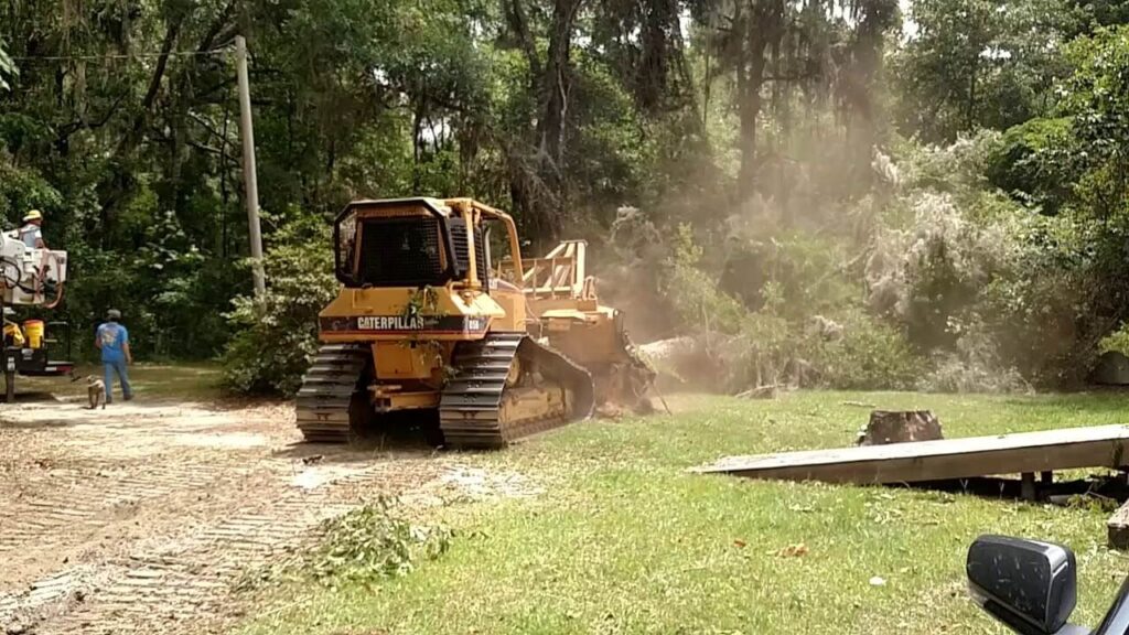 Land Clearing Experts-Pro Tree Trimming & Removal Team of Palm Beach Island