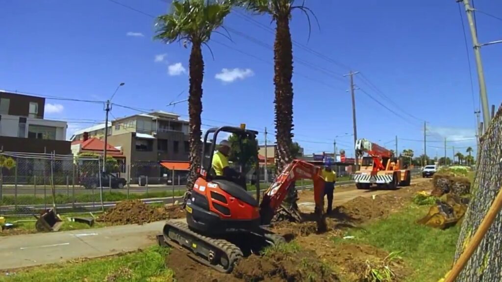 Palm Tree Removal-Pros-Pro Tree Trimming & Removal Team of Palm Beach Island