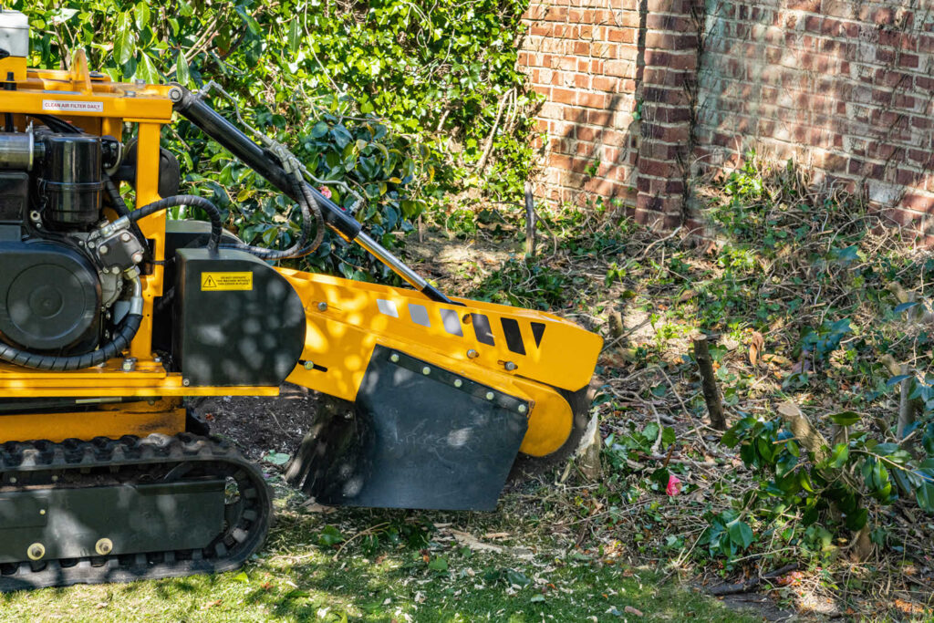 Stump Grinding-Pros-Pro Tree Trimming & Removal Team of Palm Beach Island