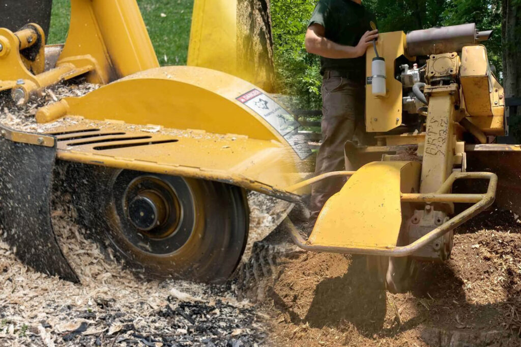 Stump Grinding & Removal Experts-Pro Tree Trimming & Removal Team of Palm Beach Island