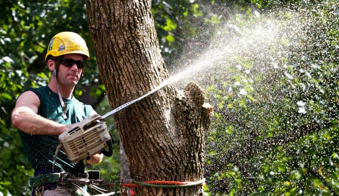 Tree Trimming-Pros-Pro Tree Trimming & Removal Team of Palm Beach Island